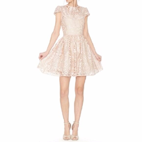NWT NEW Alice + Olivia Gracia Nude Lace Fit and Flare Mini Dress - Picture 4 of 9